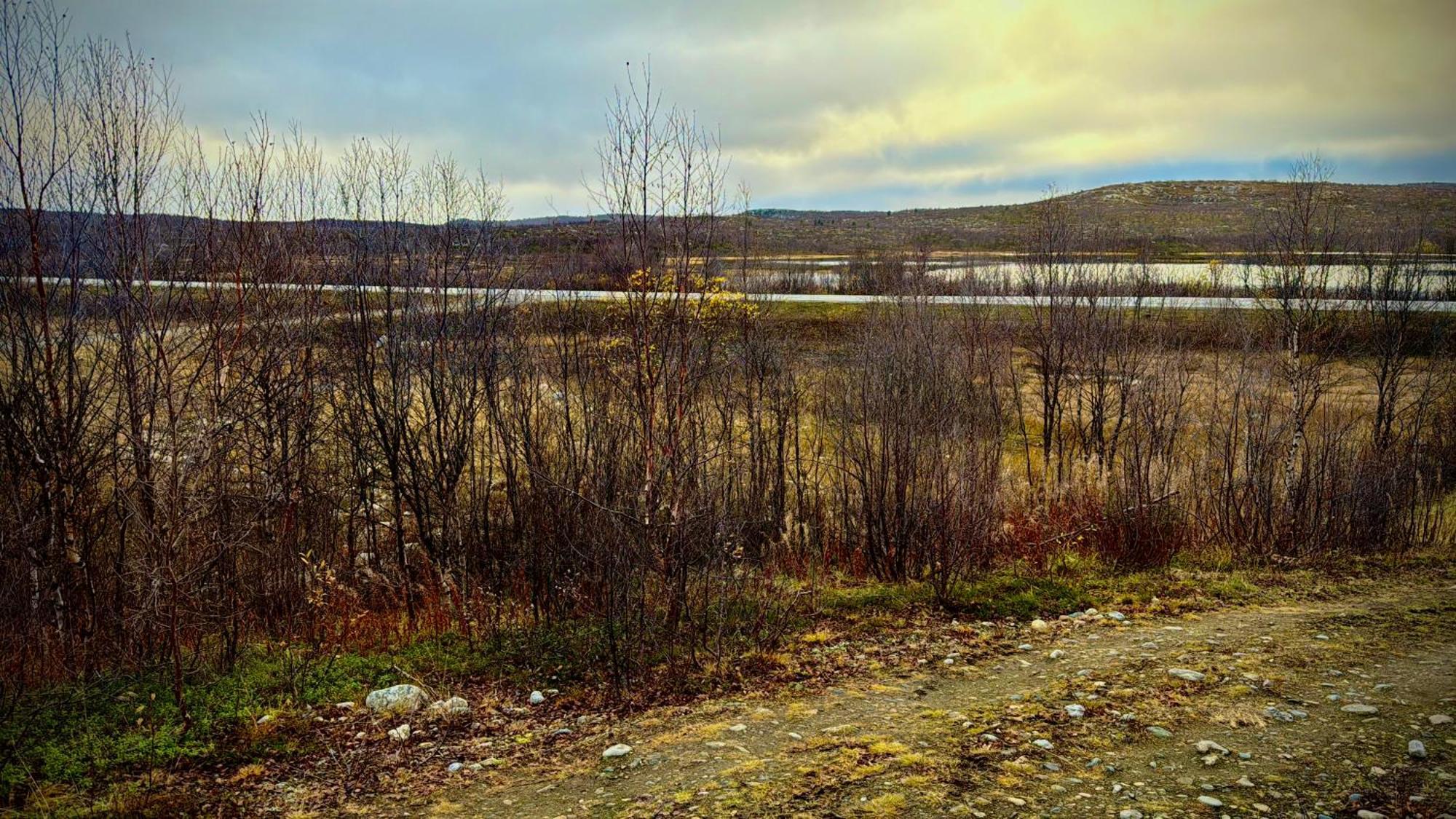 Cottage Lavkavann Finnmarksvidda Skoganvarre Εξωτερικό φωτογραφία
