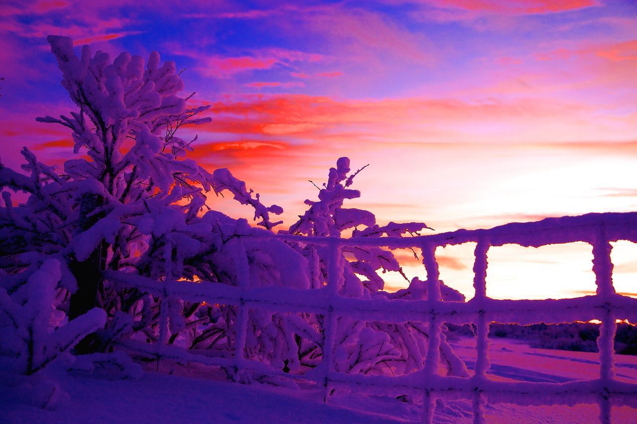 Cottage Lavkavann Finnmarksvidda Skoganvarre Εξωτερικό φωτογραφία